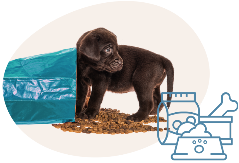 Welpe der aus Futtersack schaut